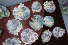 Flower Planet PET Stickers Pack | moon planet flower earth galaxy themed PET