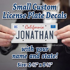 SMALL Custom License Plate Stickers with Name & State Decals Artwork Gift