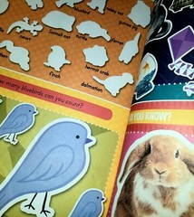 Lots Of Animals Big & Small. Sticker Book My First Book Of Stickers. 100 Sticker