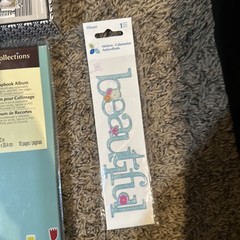 Scrapbook Lot