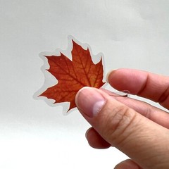 Autumn Fall Leaf Stickers Oak Maple Leaves Journaling Scrapbooking Planner