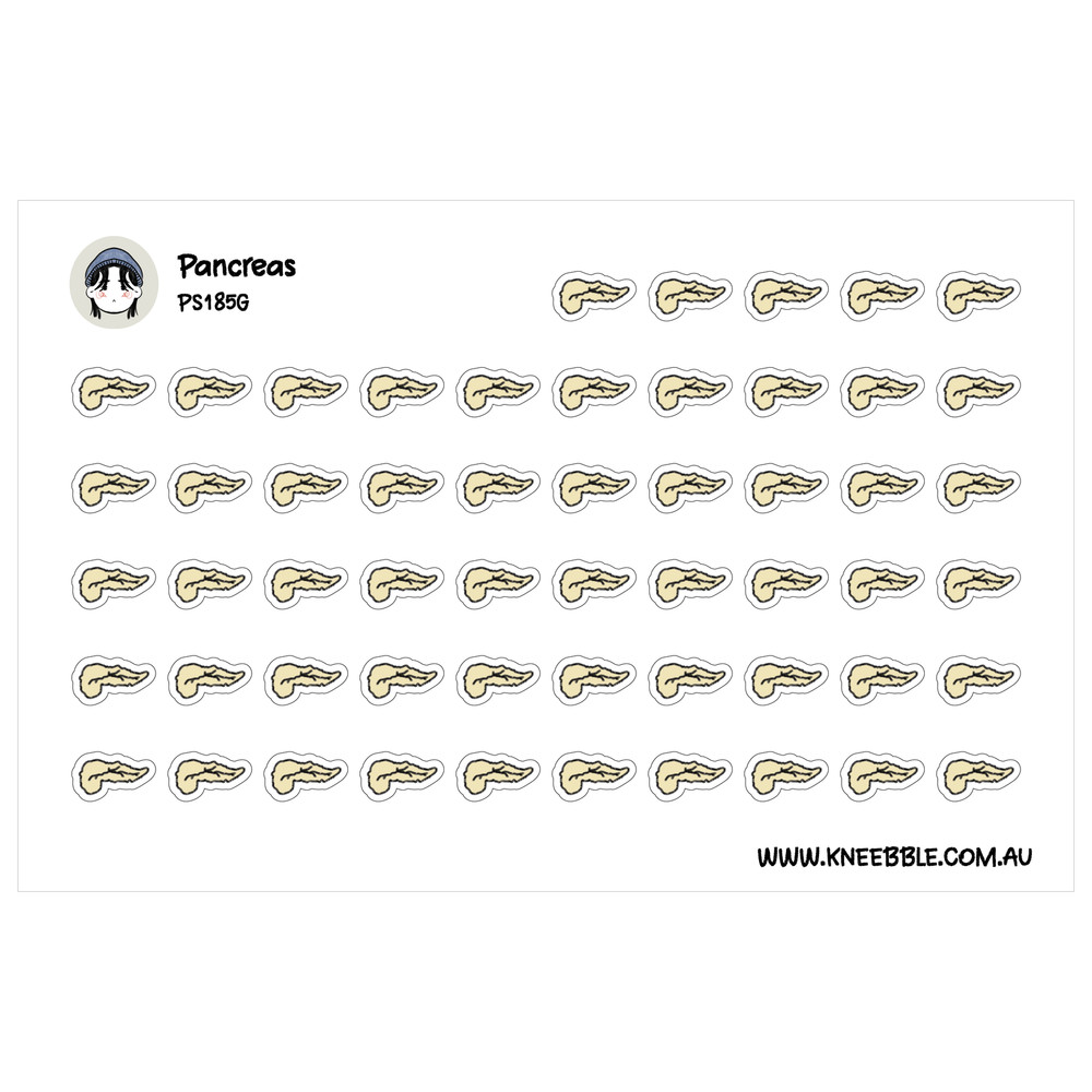 Pancreas Planner Stickers – Diabetes Care Tracker & Organ Health Labels
