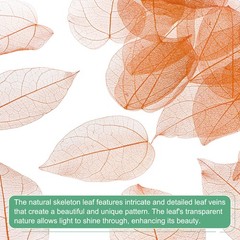 100-Pack Skeleton Leaves, Natural Rubber Tree Leaves Vein[7-9cm, Coffee]