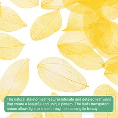 100-Pack Skeleton Leaves, Natural Rubber Tree Leaves Vein[4-6cm, Yellow]