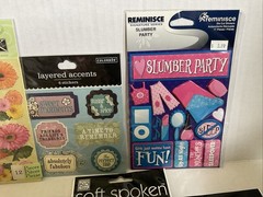 Scrapbook Dimensional Sticker Lot- Girl Themed, Flowers, Friends Sisters