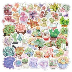 50pcs Succulent Stickers, Plants leaf flower Cactus Houseplant Stickers, 227