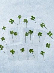 🍀Real Four Leaf Clover- Laminated Pressed Lucky Clover Good Luck Charm