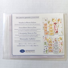 Creative Memories Months In Bloom – 16 Studio Strips