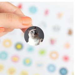Dog and Cat Stickers for Kids Teachers,1000 Pcs Dog Cat Design Stickers for Kids