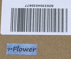 Your Creative Studio Vintage FLOWER themed Collection -D99XPMJLPVZ -Scrapbooking