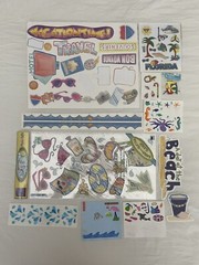 Scrapbooking Sticker Lot Vacation Beach Ocean Swim Sun Florida Summer Family Fun