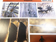 Pebbles Western Cardstock Stickers Cowboy Horse Barb Wire Scrapbooking 13pc 6×12