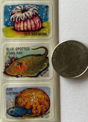 CORAL REEF Stickers(10pc)Trend •Fish•Ocean•Sea Turtle•Anemone •Octopus•Sting•
