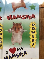 Oriental Trading 11 Sheets Hamsters Gone Wild Stickers NOS