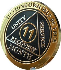 11 Month AA Medallion Elegant Black Gold Silver Plated Sobriety Recovery Chip