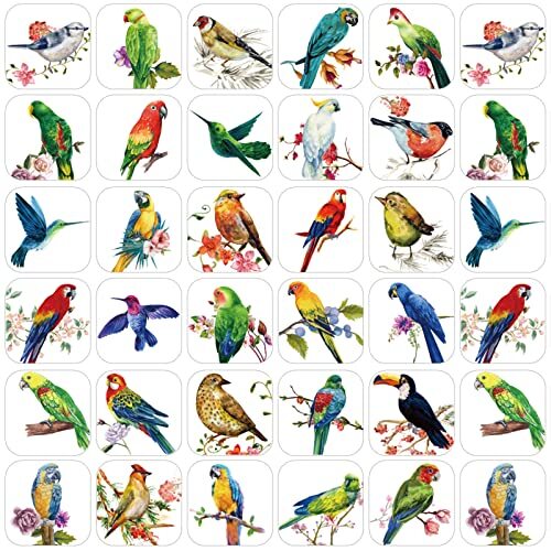 Hotop 600 Pcs Bird Stickers for Kids Bird Photos Stickers Animals Bird