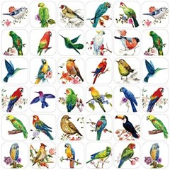 Hotop 600 Pcs Bird Stickers for Kids Bird Photos Stickers Animals Bird