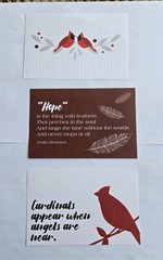 Creative Memories Set Of 3 Cardinal Birds Reversible Paper Photo Mats 4″ X 6″