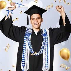 18 Pcs Graduation Leis and Stole and Honor Cords 2026 Braided Necklace Adjust…