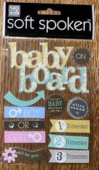 RARE SOFT SPOKEN BABY On Board Shower Ultrasound 1st 2nd 3rd Trimesters Boy Girl