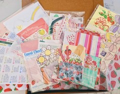 Strawberry Shortcake Scrapbooking Junk Journal Embellishment Vintage Empherma