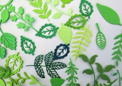 50 Assorted Green Foliage and Leaf Die Cut and Paper Punch Embellishments