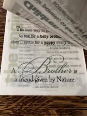 BOY Vellum Quotes & Sayings • 24 Sheets Over 75 Phrases• K&Company Hopscotch NEW