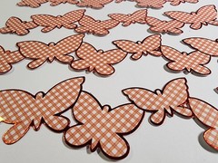 K&Company Butterflies Picnic Checker Orange Foil Border Sticker Scrapbooking 6pc