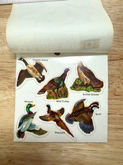 Vintage Dennison Wild Game Birds Stickers Booklet 8 Sheets Complete 48 stickers