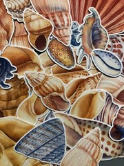 25 sea shell sticker pack, sticker bundle, ocean stickers, journal, scrapbook