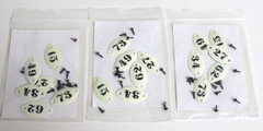 3 New CLOSE TO MY HEART Foundry NUMBER PLATES Off-White Metal Embellishments