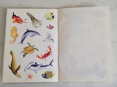 New Steve Parish Australian Seashores Wildlife Stickers Play Learn Sea Fish