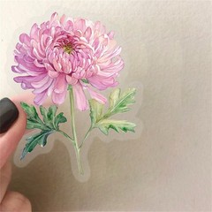 50PCS Pink Flower Stickers Aesthetic PET Transparent Pinkflower