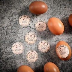 1000 Pcs Farm Fresh Eggs Washed Carton Labels 1.5 Inch Round inch