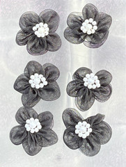 12 Black 3/4 inch 5 Petal Sheer Flower with Pearl Accessory