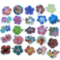 STICKER PACK – Pack #29 – 25 Pieces – Hibiscus Flowers