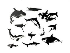 ORCA, DOLPHINS, SHARKS, & KILLER WHALES SILHOUETTE DIE CUT/ CUTS (ALL DIFFERENT)