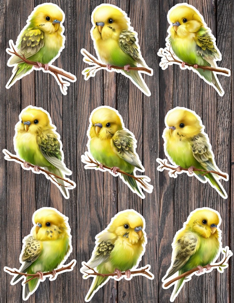 Yellow and Green Budgie Bird Vinyl Stickers Scrapbooking Laptop Waterbottle