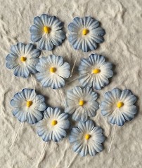 10 Blue Flowers Handmade Mulberry Paper Tropical flower baby boy Cards shower