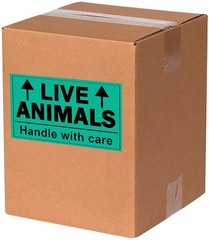 Remarkable Live Animals Please Handle with Care Stickers,2 X 3 Inch Fluoresce…