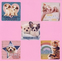 15 Rachael Hale Assorted Large Stickers – Puppies, Kittens, Cat, Dog, Bunny