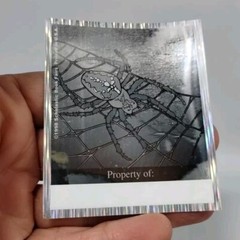 Vtg Scholastic Holographic Sticker Tarantula Spider Web Property Of Book Plate