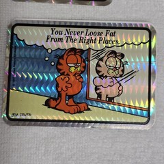 Vintage 1987 Garfield Prism Hologram Vending Machine Stickers Lot Of 11 NOS