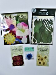Mixed Lot Cardmaking Scrapbooking Flower Petals Leaves Real & Artificial Crafts