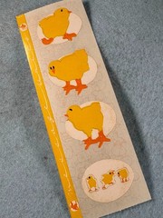 Vintage 1980s Cardesign Message Units Chicks MUS 107 1981