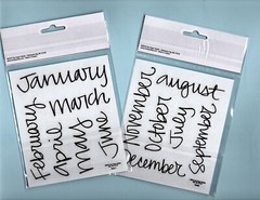 Stick-a-bilities CURSIVE MONTHS 24pc Clear Background Stickers scrapbooking