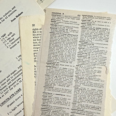 Vintage Ephemera Lot 50 Pages from Different Books Hymn/Recipe/Dictionary/Novels