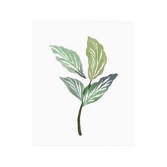 Watercolor Single Leaf Greenery Poster – Wall Decor 9″ 12″ 18″ 24″ Printed
