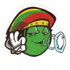 Stickers for Water Bottles, 420 Stickers for Teens Adults, Vinyl Waterproof