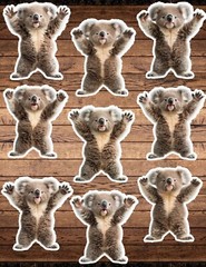 Standing Koala Die Cut Vinyl Stickers Set Scrapbooking Laptop Waterbottle
